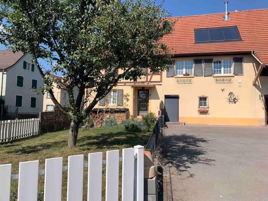 Gite Cosy Pour 2 A 4 Personnes, Village Proche Mulhouse Burnhaupt-le-Bas Экстерьер фото
